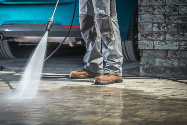 Best Roof Washing  in Mount Pleasant, TN